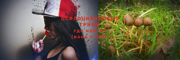 ешки Заволжье