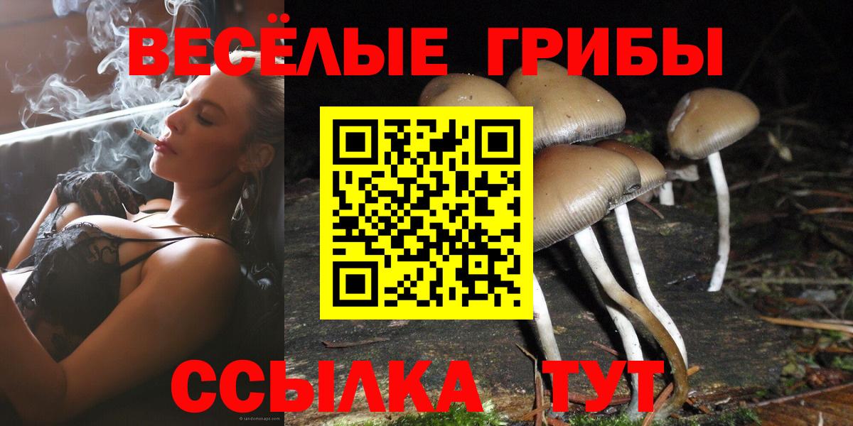 Галлюциногенные грибы ЛСД  Псилоцибиновые грибы прущие грибы  Вход с VPN  Ивантеевка 