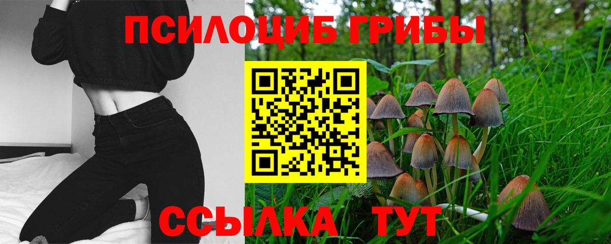 Псилоцибиновые грибы Magic Shrooms Ивантеевка